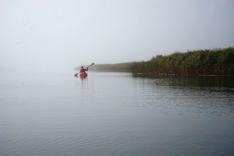New River morning fog