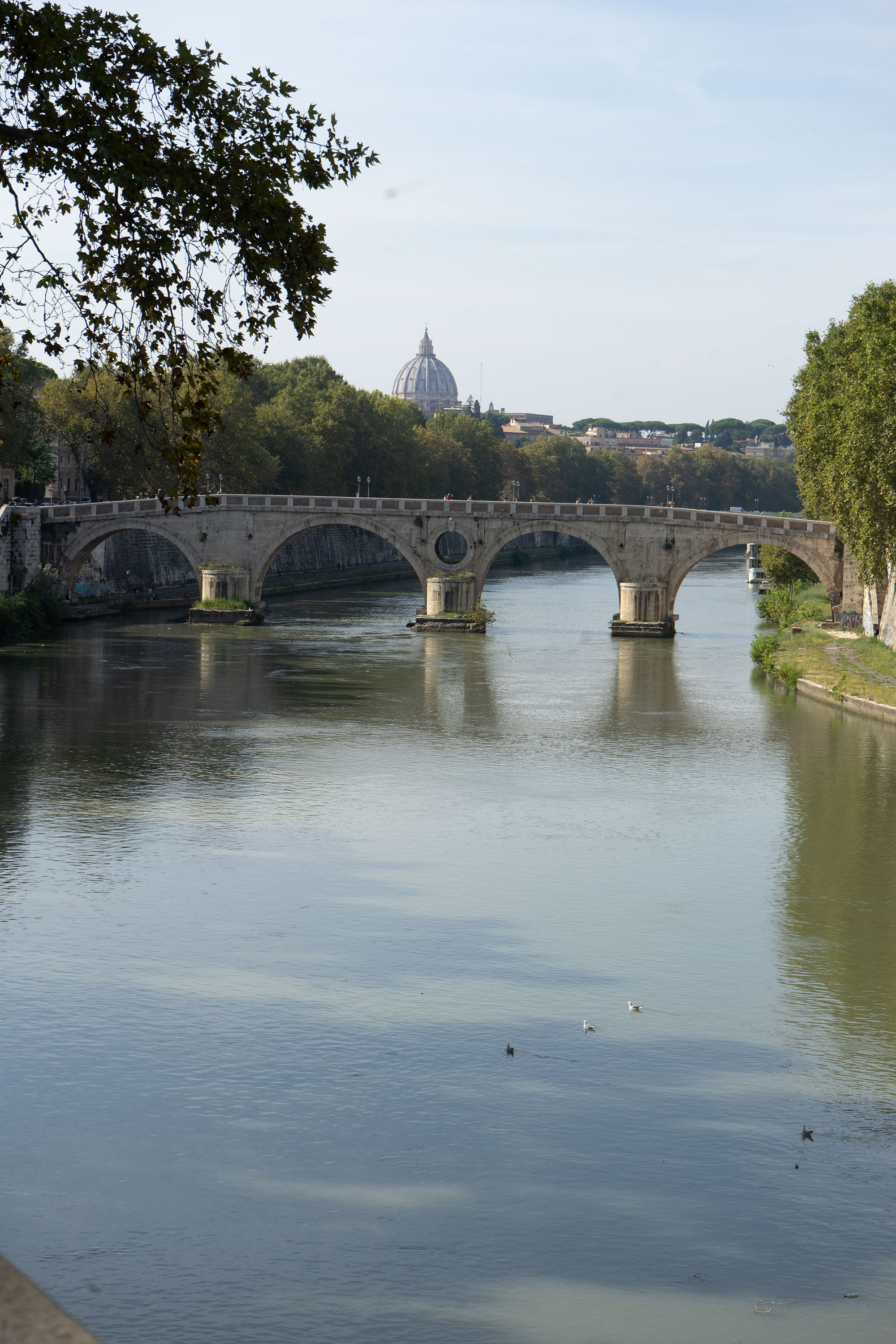 Tiber2 Tiber2